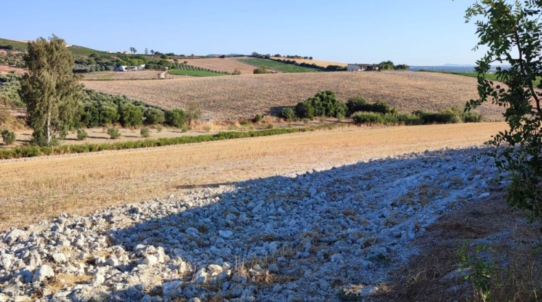 Cádiz - Arcos de la Frontera - 70000m2