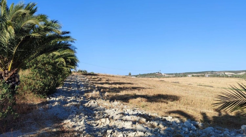 Cádiz - Arcos de la Frontera - 70000m2