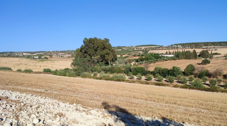 Cádiz - Arcos de la Frontera - 70000m2