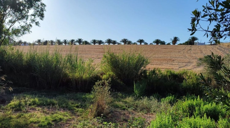 Cádiz - Arcos de la Frontera - 70000m2