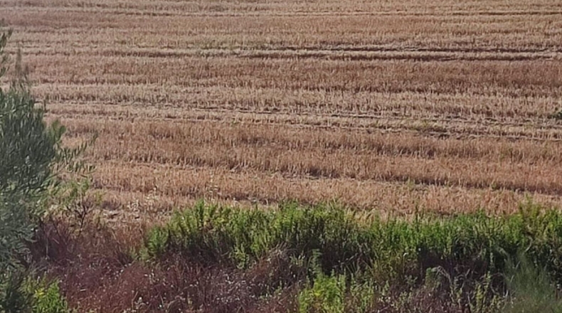 Cádiz - Arcos de la Frontera - 70000m2