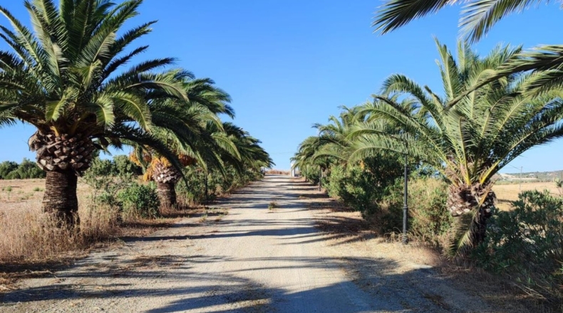 Cádiz - Arcos de la Frontera - 70000m2