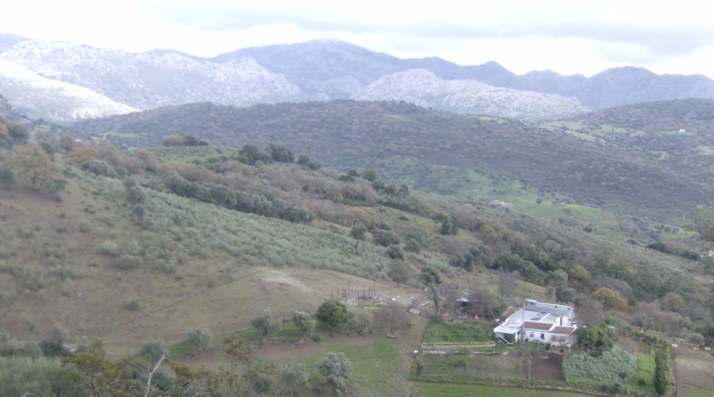 Cádiz - Benaocaz - 100000m2