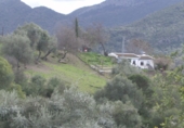 Rural estate for sale in Benaocaz ref: TR385194 photo