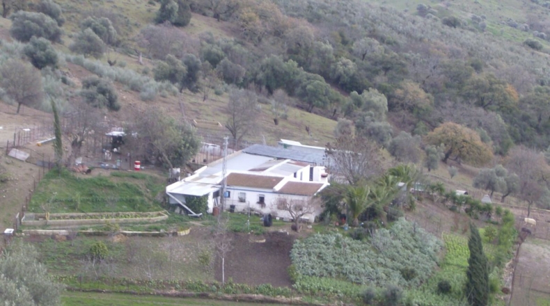 Cádiz - Benaocaz - 100000m2