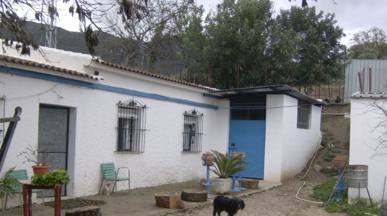 Cádiz - Benaocaz - 100000m2
