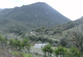 Rural estate for sale in Benaocaz ref: TR385194 photo