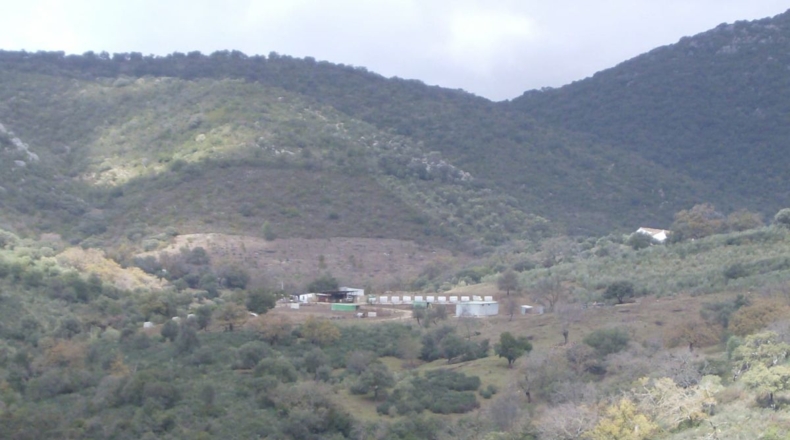 Cádiz - Benaocaz - 100000m2