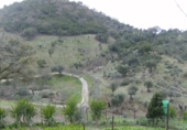 Rural estate for sale in Benaocaz ref: TR385194 photo