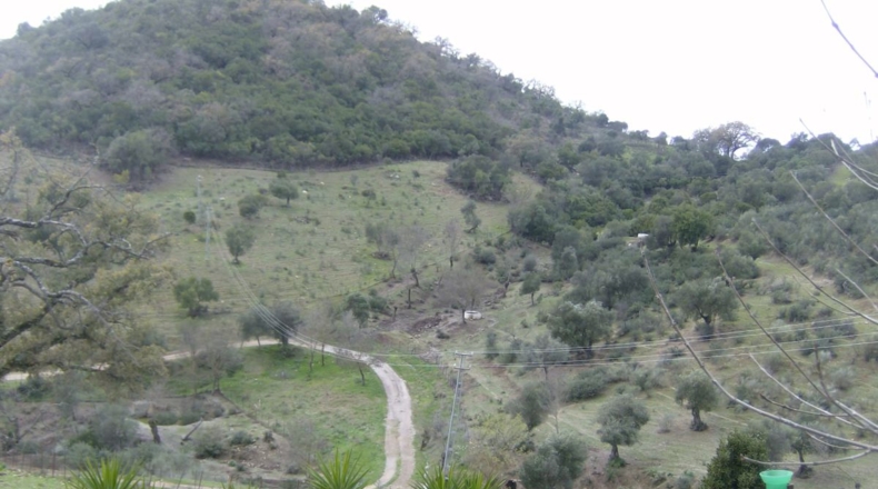Cádiz - Benaocaz - 100000m2