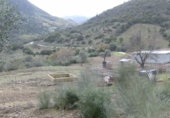Rural estate for sale in Benaocaz ref: TR385194 photo