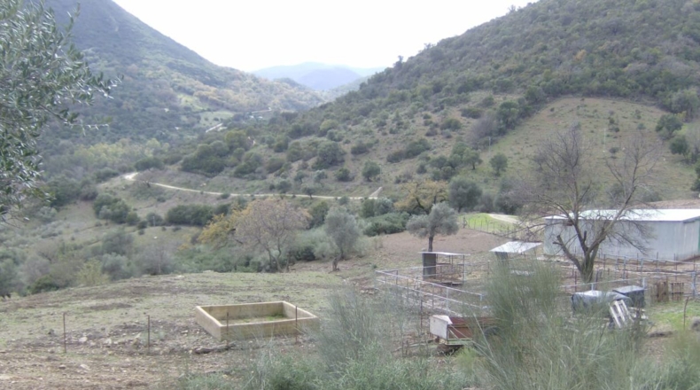 Cádiz - Benaocaz - 100000m2