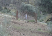 Rural estate for sale in Benaocaz ref: TR385194 photo