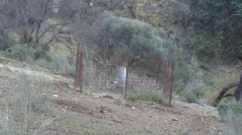 Cádiz - Benaocaz - 100000m2