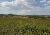 Terreno no urbanizable en venta en Arcos de la Frontera ref: TR385745 foto