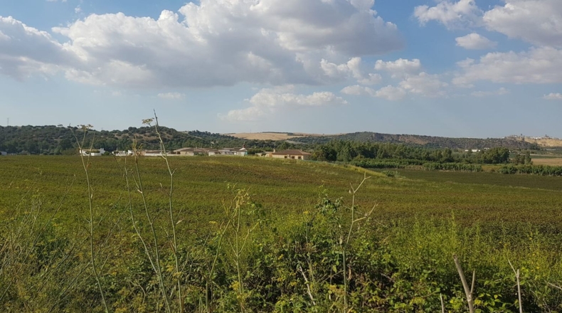 Cádiz - Arcos de la Frontera - 37700m2