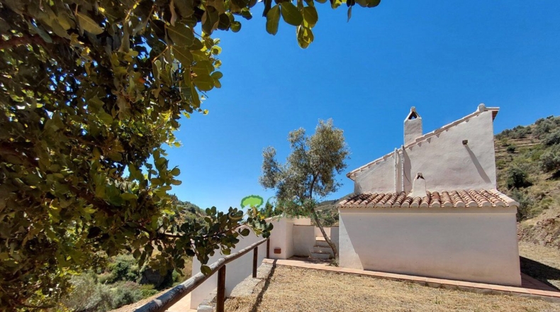 Málaga - Сайалонга - 8000m2