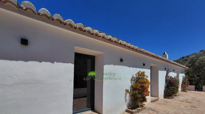 Málaga - Сайалонга - 8000m2
