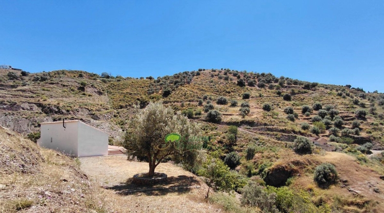 Málaga - Сайалонга - 8000m2