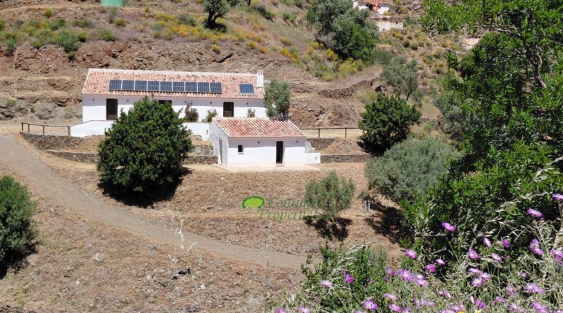 Málaga - Сайалонга - 8000m2
