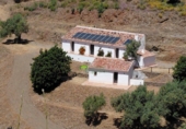 Casa de camp amb terreny en venda a Sayalonga ref.: TR385448 foto
