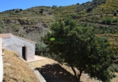 Casa de camp amb terreny en venda a Sayalonga ref.: TR385448 foto