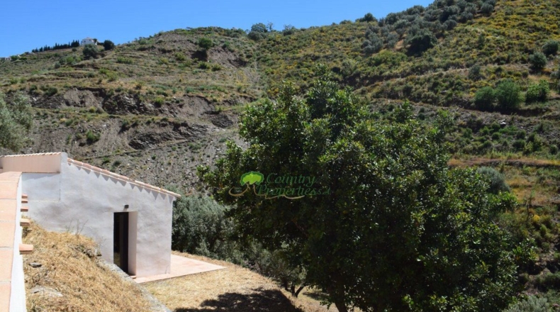 Málaga - Сайалонга - 8000m2