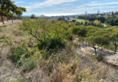 Terreny no urbanitzable en venda a Marbella ref.: TR385732 foto