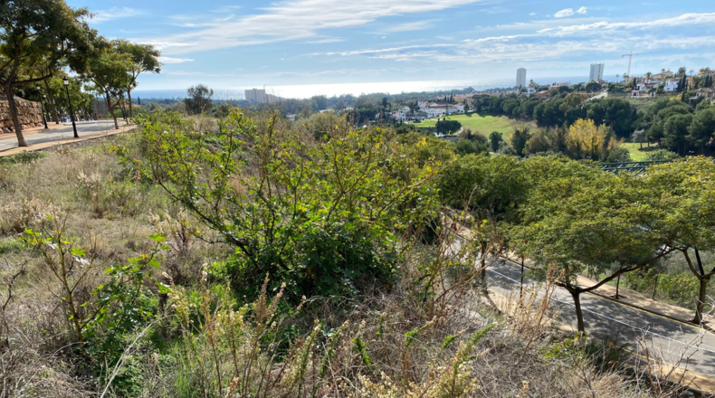 Malaga - Marbella - 16600m2