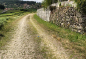Non-developable land for sale in Cotobade ref: TR385442 photo