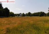 Non-developable land for sale in Barro ref: TR385729 photo
