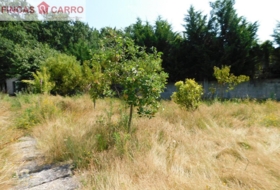 Barro 5200&nbsp;m² 