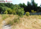 Non-developable land for sale in Barro ref: TR385729 photo