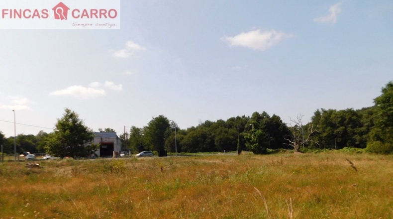 Comunidad de Madrid - Алькала-де-Энарес - 5200m2
