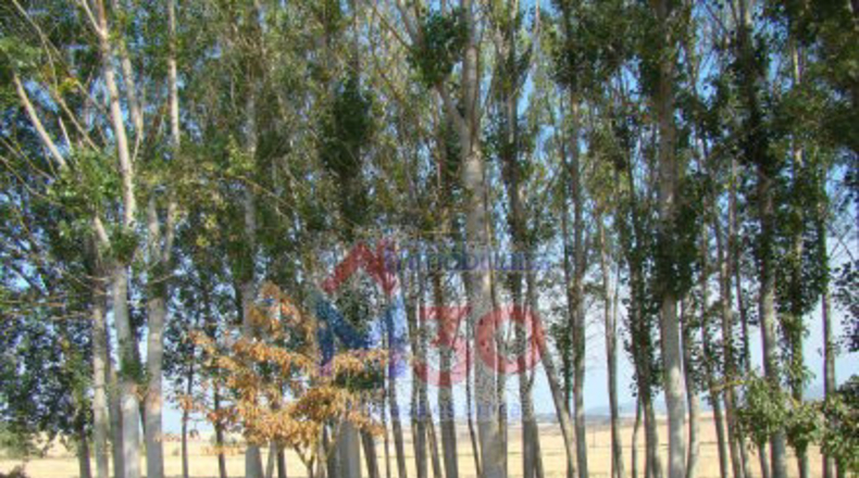 Álava - Bergüenda - 357m2