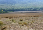 Non-developable land for sale in Fresno de Río Tirón ref: TR386299 photo