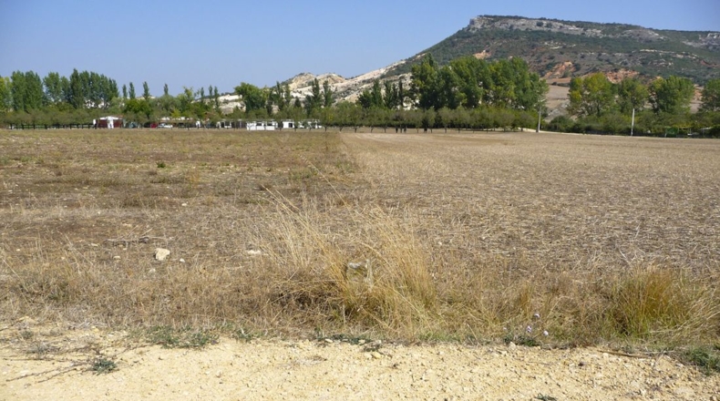 Burgos - Huerta de Rey - 21000m2
