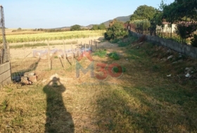 Berantevilla 1230&nbsp;m² 