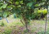 Non-developable land for sale in Treviño ref: TR385640 photo