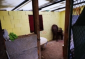 Non-developable land for sale in Treviño ref: TR385640 photo
