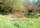 Terreny no urbanitzable en venda a Ferrol ref.: TR385847 foto