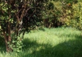 Дом с участком на продажу в городе Fene. Фото