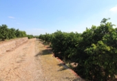 Non-developable land for sale in La Vall d'Uixó ref: TR385361 photo