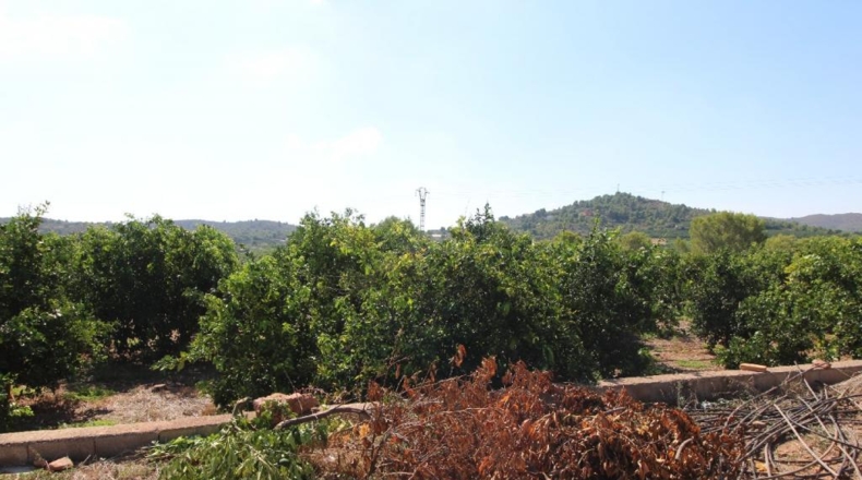 Castellón - la Vall d'Uixó - 15827m2
