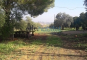 Finca rústica en venda a Alcalá de Guadaíra ref.: TR386497 foto