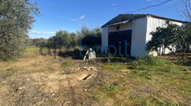 Sevilla - Alcalá de Guadaíra - 20608m2