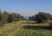 Finca rústica en venda a Alcalá de Guadaíra ref.: TR386497 foto