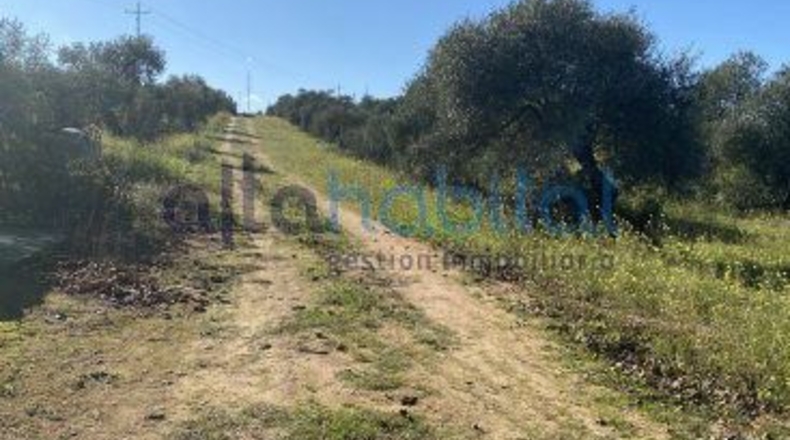 Sevilla - Alcalá de Guadaíra - 20608m2
