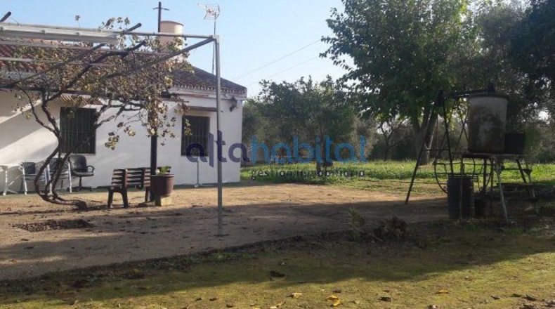 Sevilla - Alcalá de Guadaíra - 20608m2
