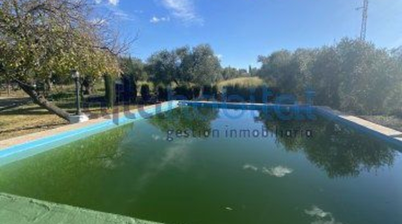 Sevilla - Alcalá de Guadaíra - 20608m2